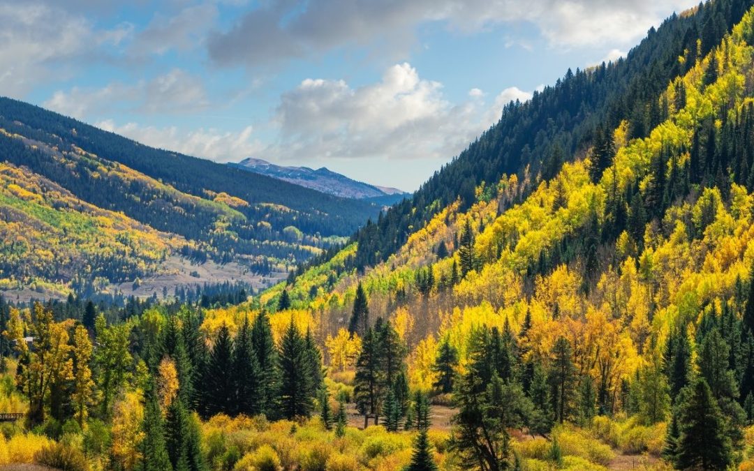 Autumn in the Mountains: What to Do in Vail This Fall