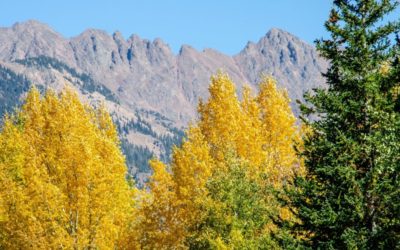 Where’s the Best Place to See Fall Colors in Colorado?