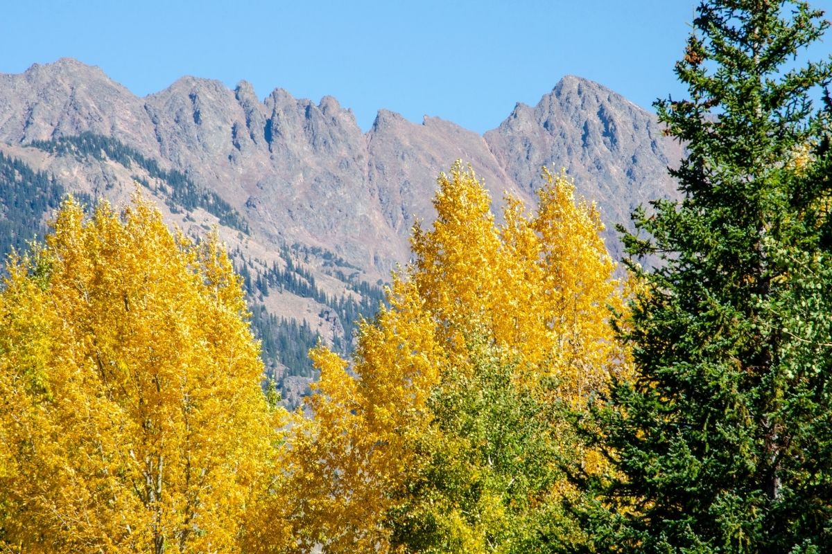 best place to see fall colors in colorado