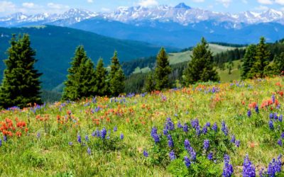 5 Amazing Things to Do in Vail in the Summer