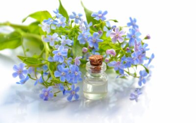 Benefits of Aromatherapy: Everything You Need to Know
